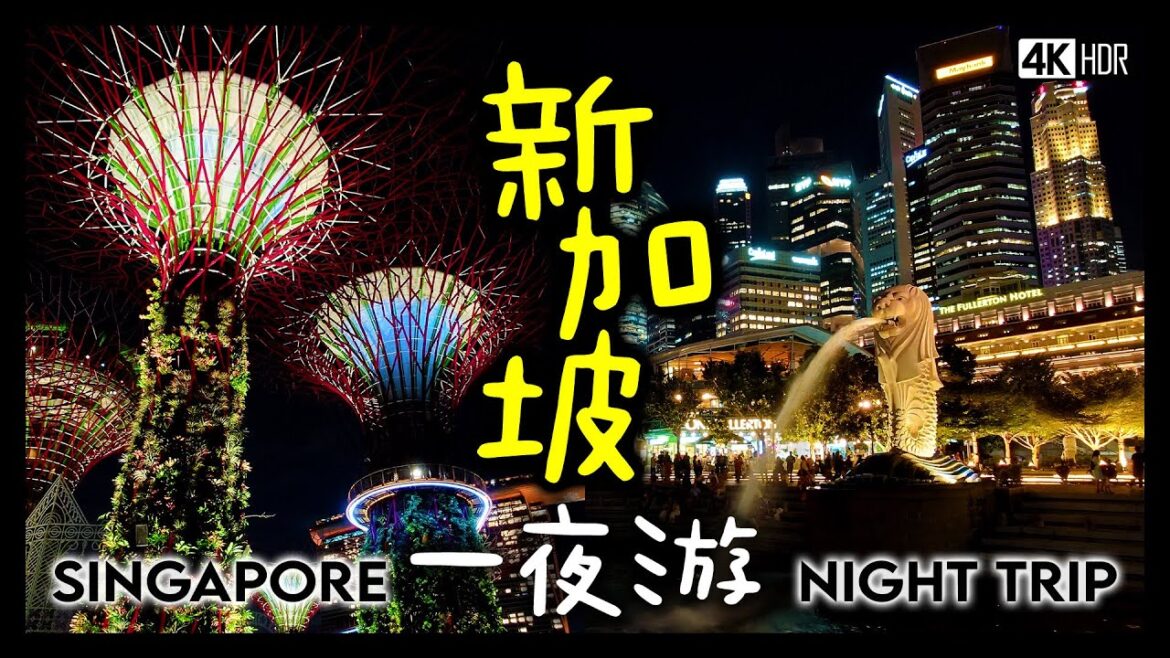 Free Singapore Tour from Changi Airport Transit: Marina Bay, Merlion & Supertrees Night View Free Singapore Tour from Changi Airport Transit: Marina Bay, Merlion & Supertrees Night View
