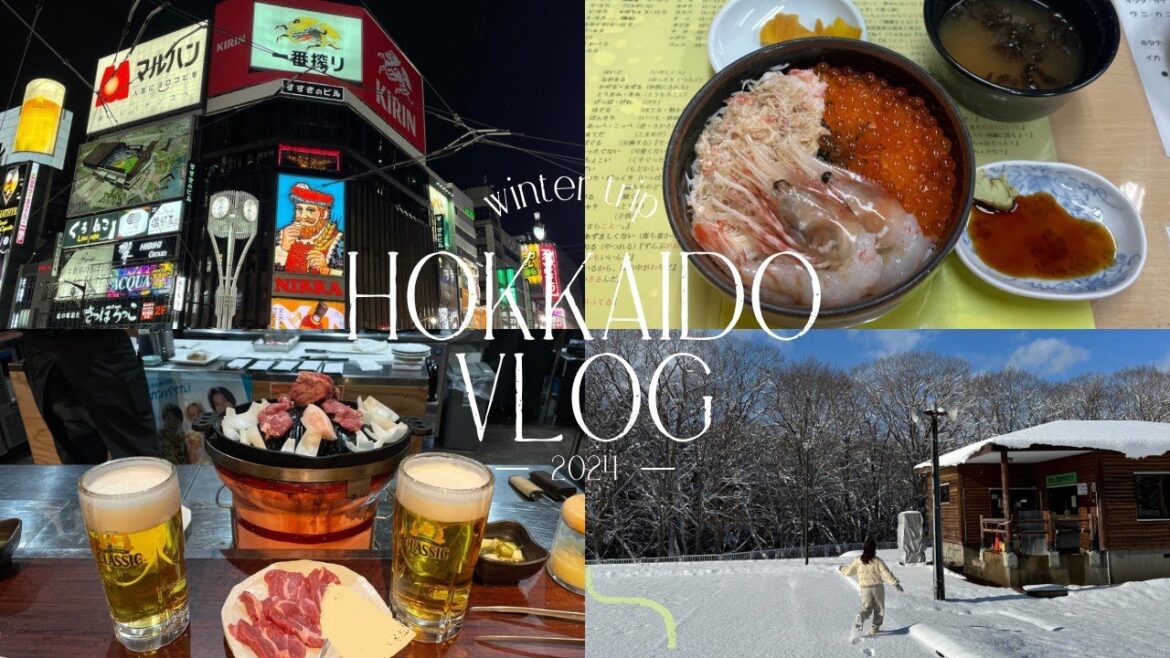 【trip vlog】2泊3日冬の北海道旅✈️⛄️｜美味しいグルメと綺麗な雪景色❄️｜札幌・小樽・函館