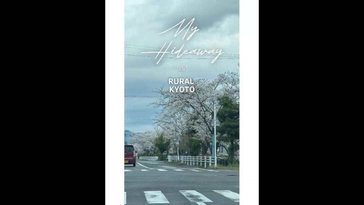 Buying an ABANDONED Japanese House in Kyoto (Akiya House Tour) Buying an ABANDONED Japanese House in Kyoto (Akiya House Tour)