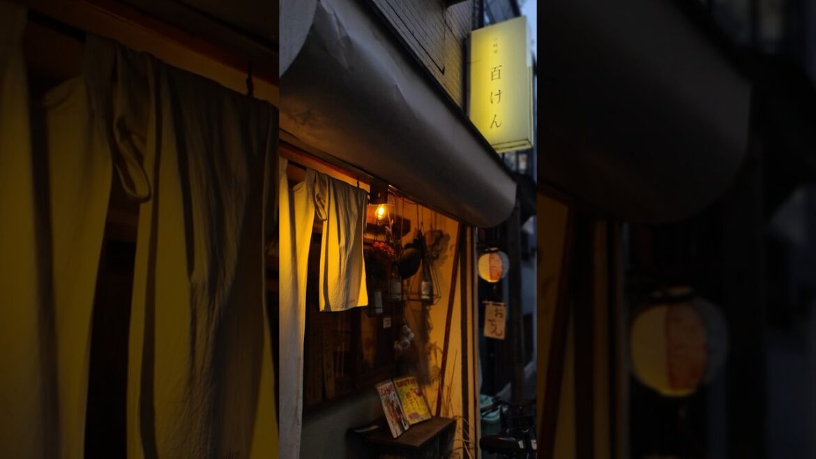 Various Japanese shops | 色々な店