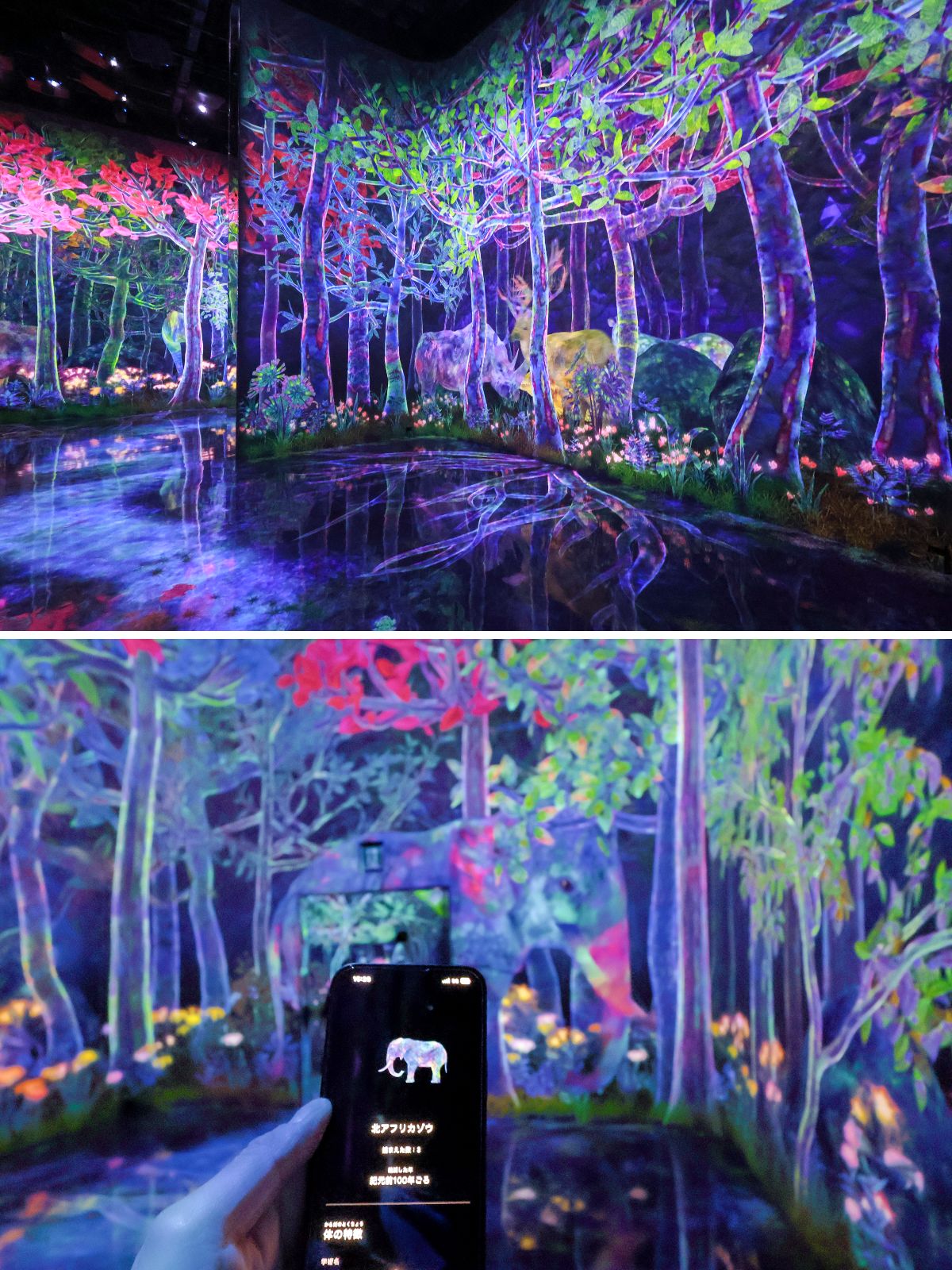 Endangered and extinct animals roam through forests and seas. Capture elephants with a single touch. (© Nippon.com)