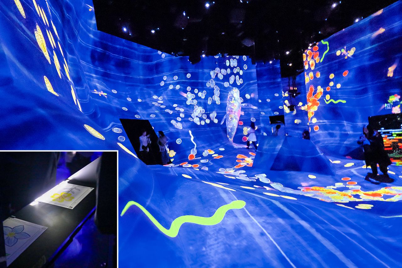 Experience an ecosystem of survival with “Graffiti Nature,” where visitors’ own drawn creatures come to life. (© Nippon.com)
