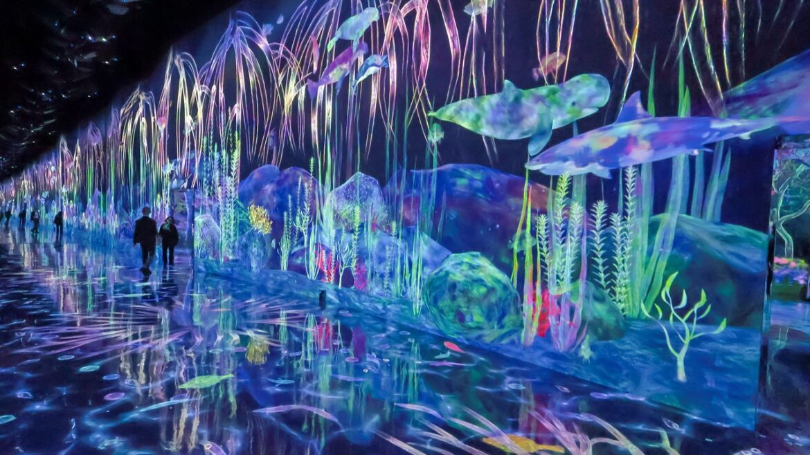 A New Chapter at TeamLab Planets: Tokyo Attraction Expands A New Chapter at TeamLab Planets: Tokyo Attraction Expands