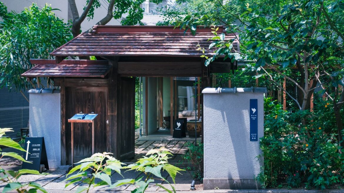 Chanoma: Meticulous Japanese Sweets in a Green Ikebukuro Oasis