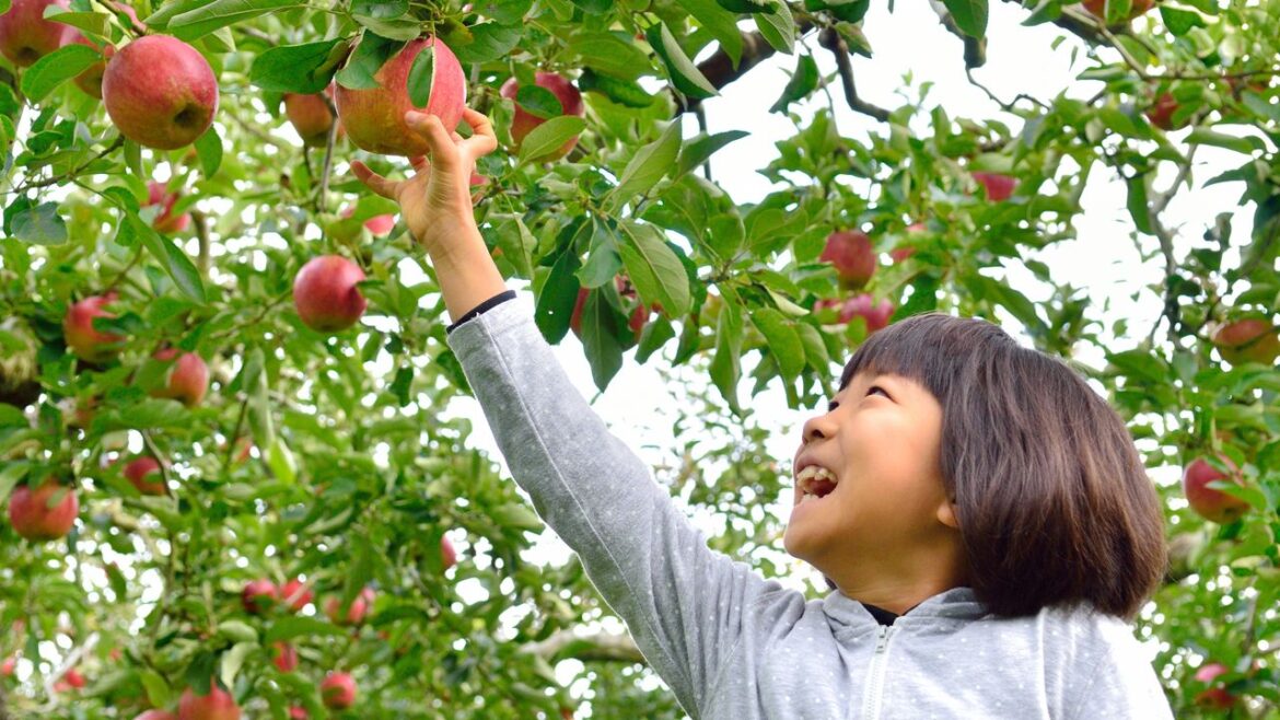 Japan’s Top Events in Autumn 2025 Japan’s Top Events in Autumn 2025