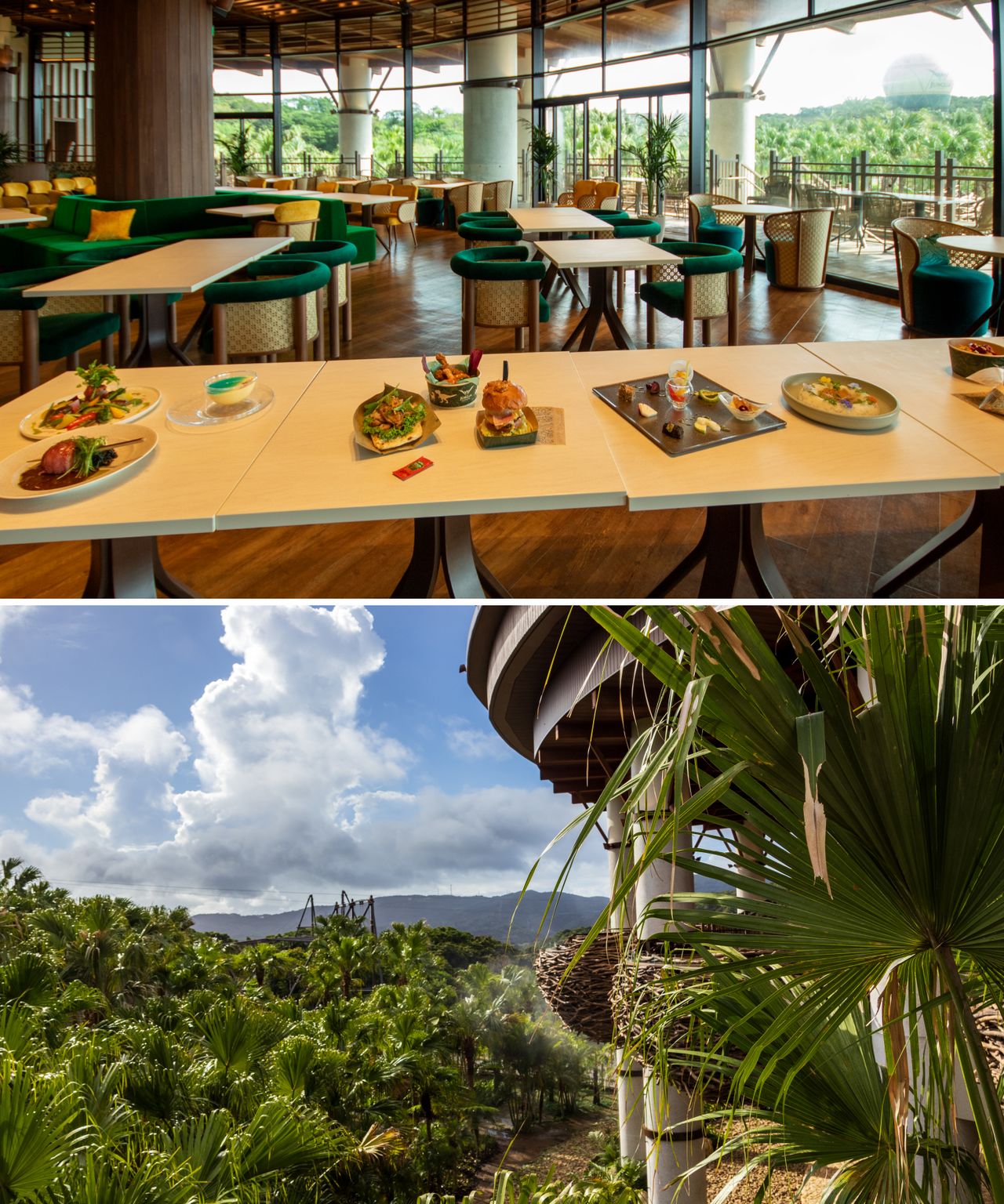 Interior of Panorama Dining (top); the bird’s nest-style seating visible on the right offers views over the jungle. (© Nippon.com)