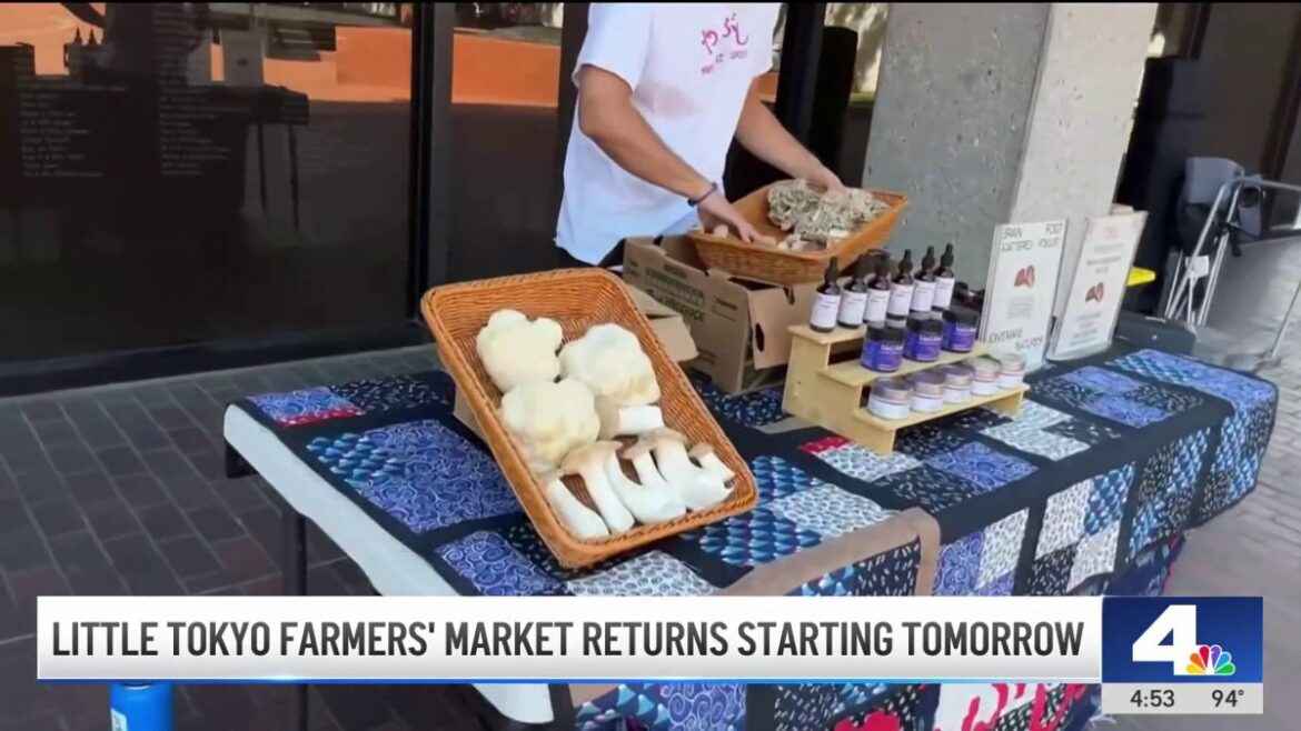 Farmers’ market makes a comeback in LA’s Little Tokyo – NBC Los Angeles