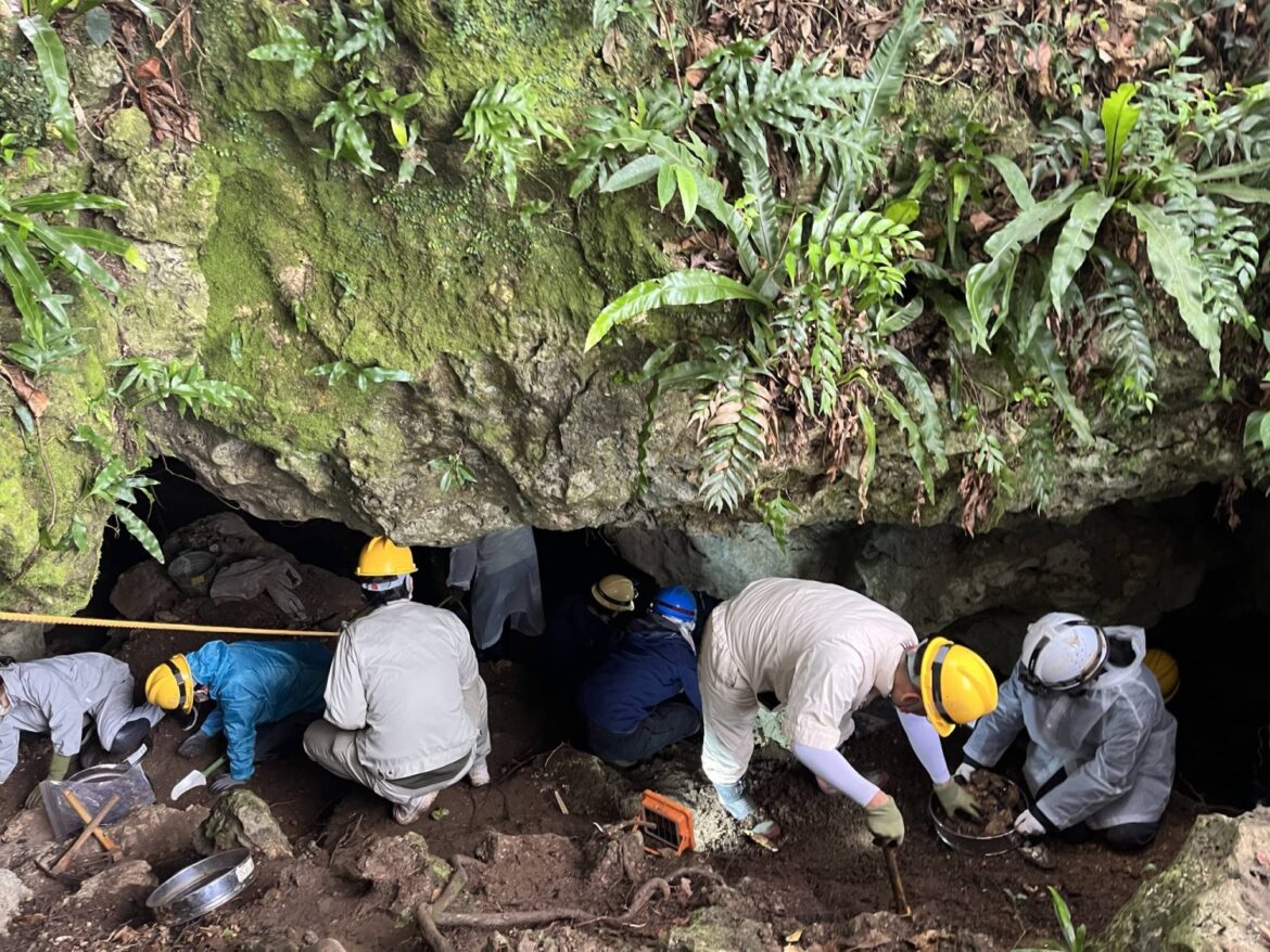 The long search for Japan’s lost soldiers