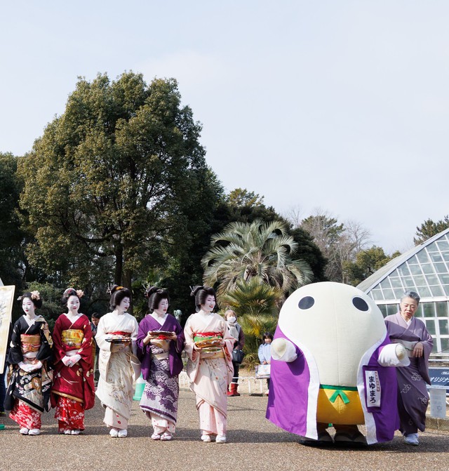 Kyoto Marathon now accepting entries for race through World Heritage sites- Ảnh 4.