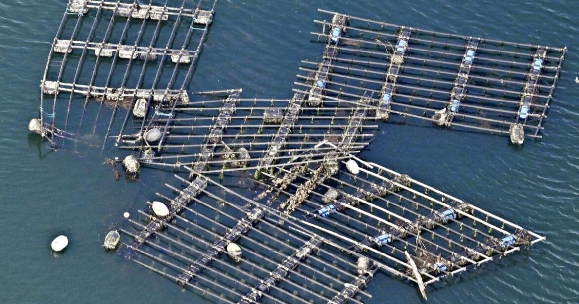 Japan’s aquaculture farms see damage from tsunami | Agriculture