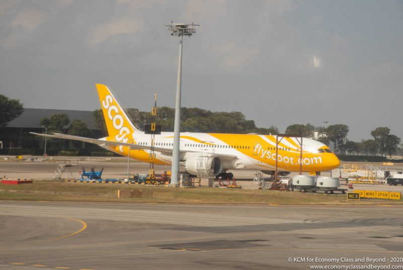 Scoot Boeing 787-8 Dreamliner at Singapore Changi Airport - Image, Economy Class and Beyond
