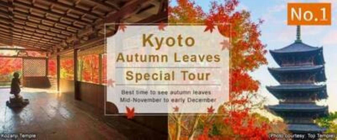 Experience Japan's Stunning Autumn with Fall Foliage and Hot Springs -- Carefully selected scenic routes for those planning a Japan trip in fall 2025