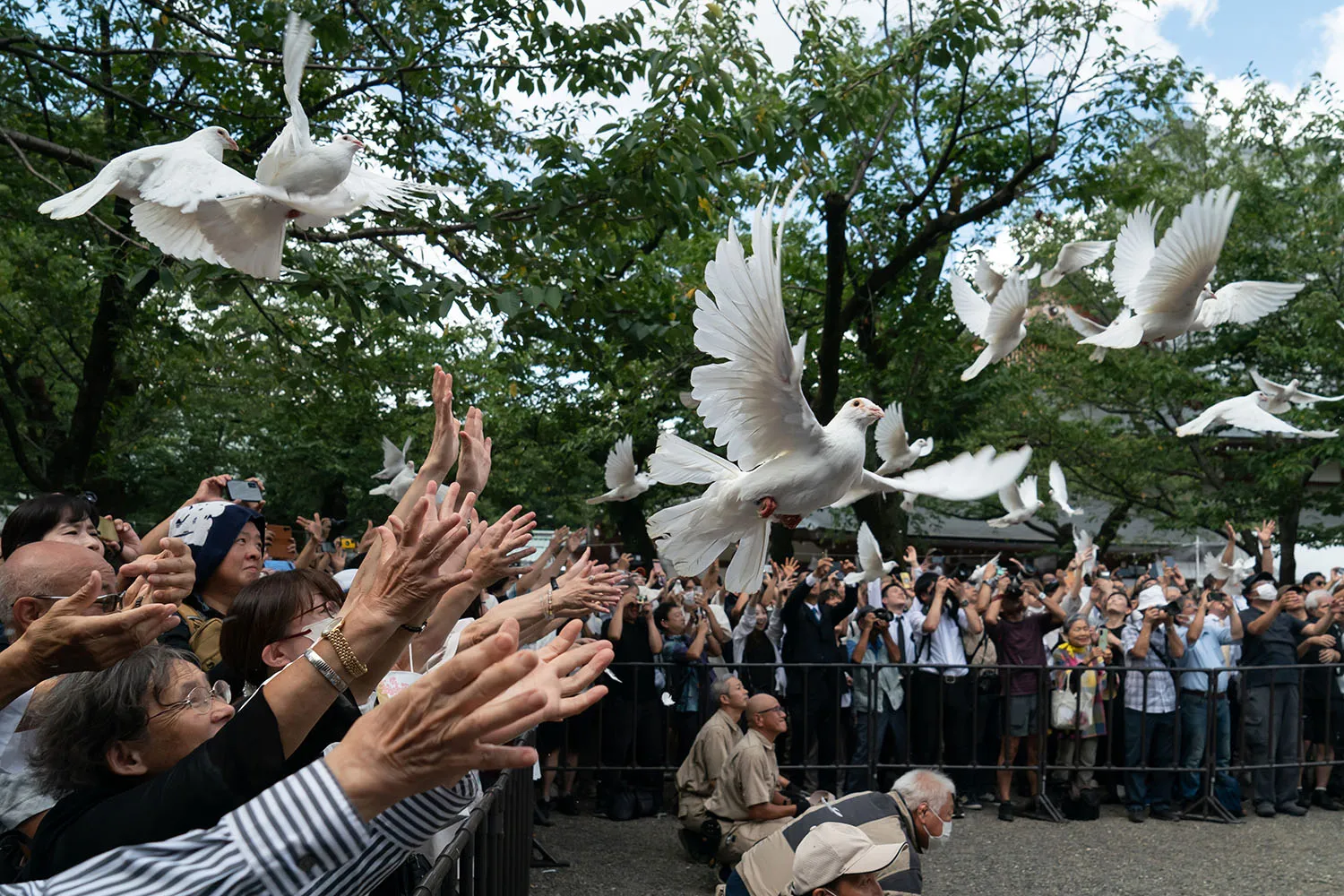 Doves take flight from the outstretched hands of a crowd of people.