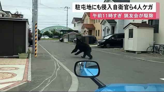 A brown bear is seen bounding down on a residential street in suburban Sapporo, Hokkaido on June 18, 2021