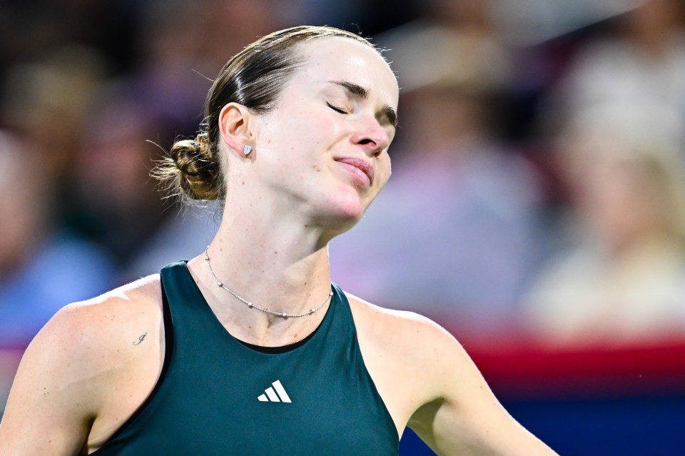 Elina Svitolina shared the abuse she received on Instagram