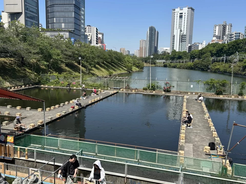Another photo from a wider angle of Ichigaya Fishing Center in Tokyo. 