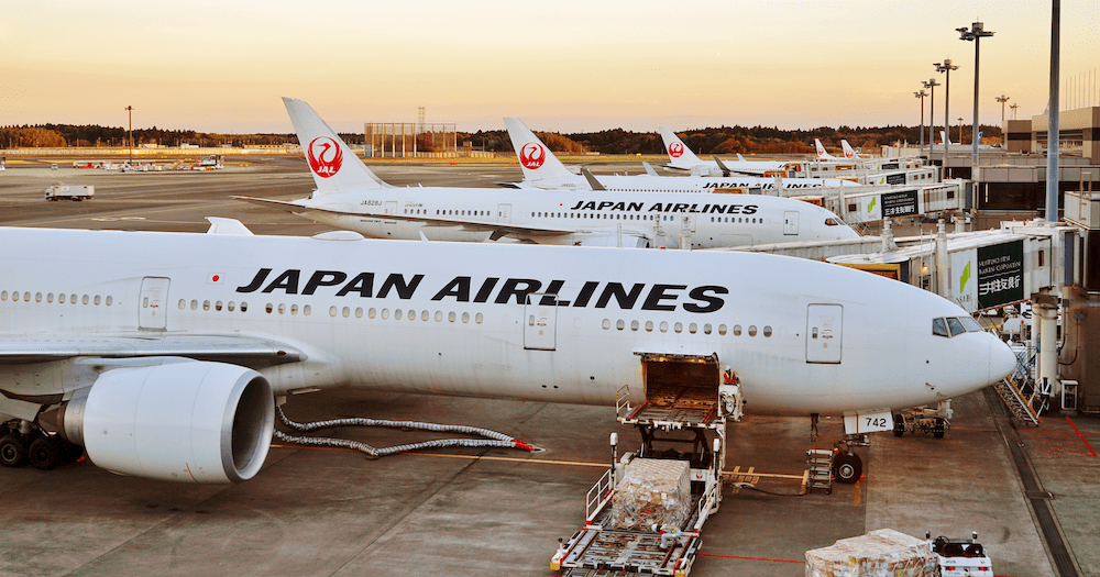 Japan Airlines jets at Tokyo Narita Airport.
