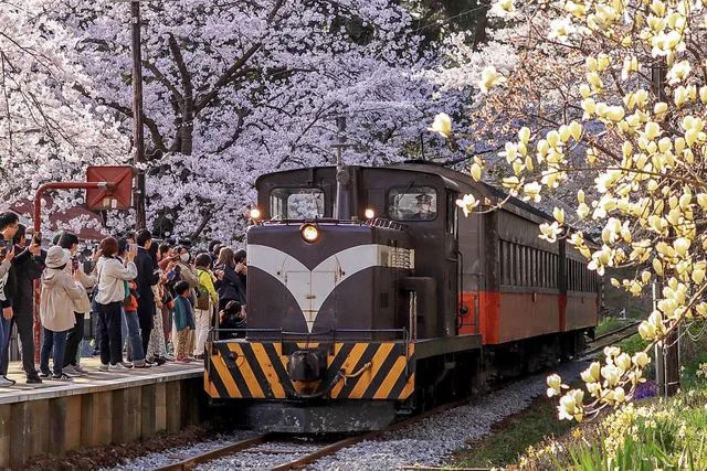 Tohoku Tourism Promotion Organization A crowd waits for a train approaching a station in Tohoku, Japan.
