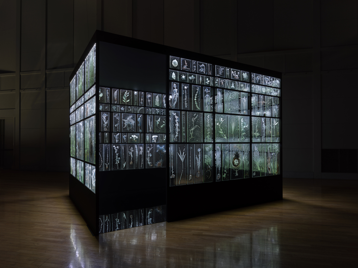 aichi triennale