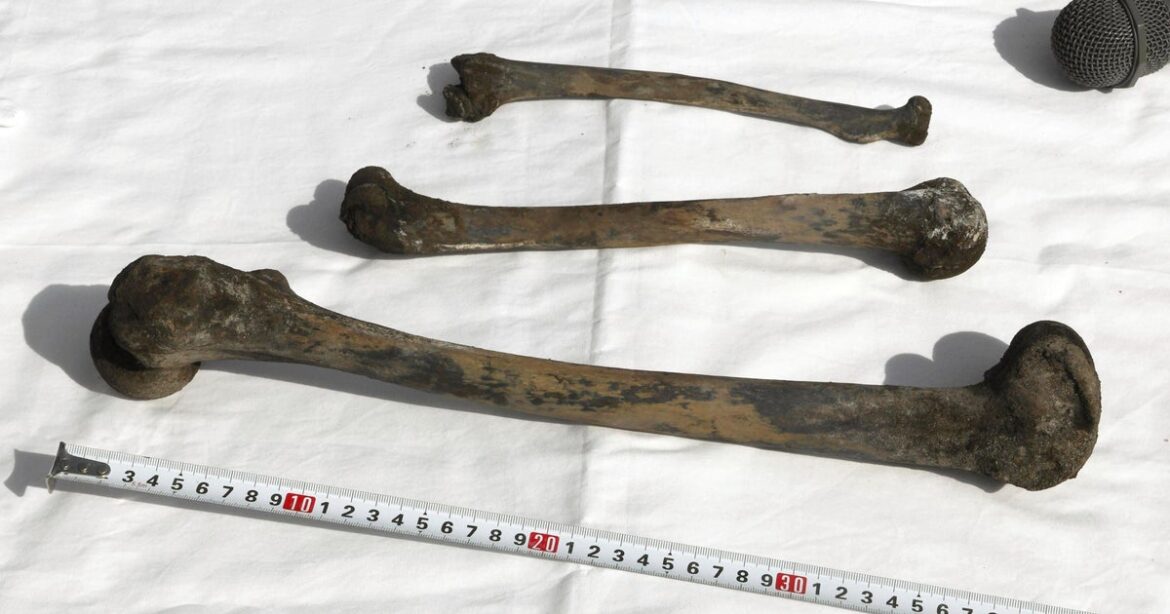 Bones, skull found by divers at undersea mine in Japan where over 100 Korean forced laborers died in WWII Bones, skull found by divers at undersea mine in Japan where over 100 Korean forced laborers died in WWII