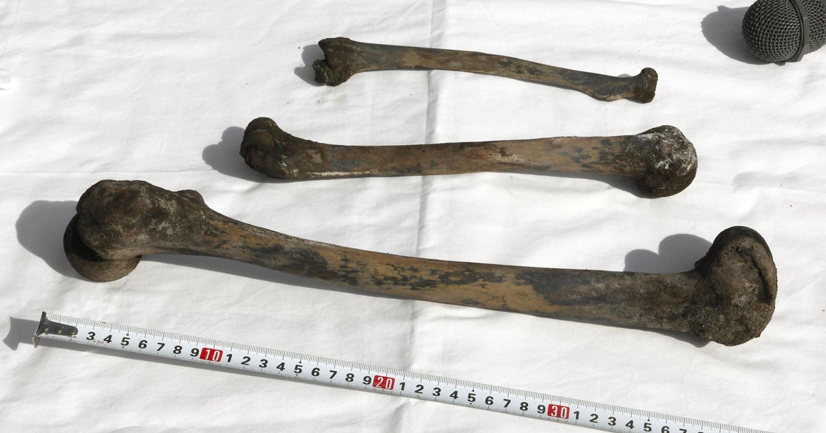 Japan Wartime Mine Bones