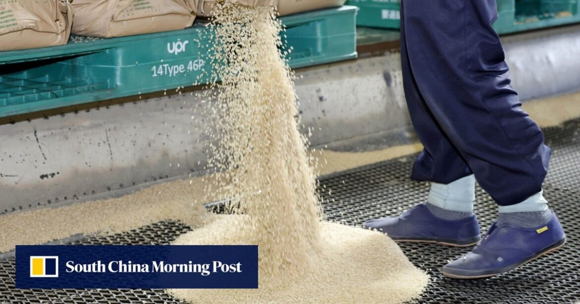 In Japan, 1 in 6 poor households struggle to afford rice, staple foods: survey