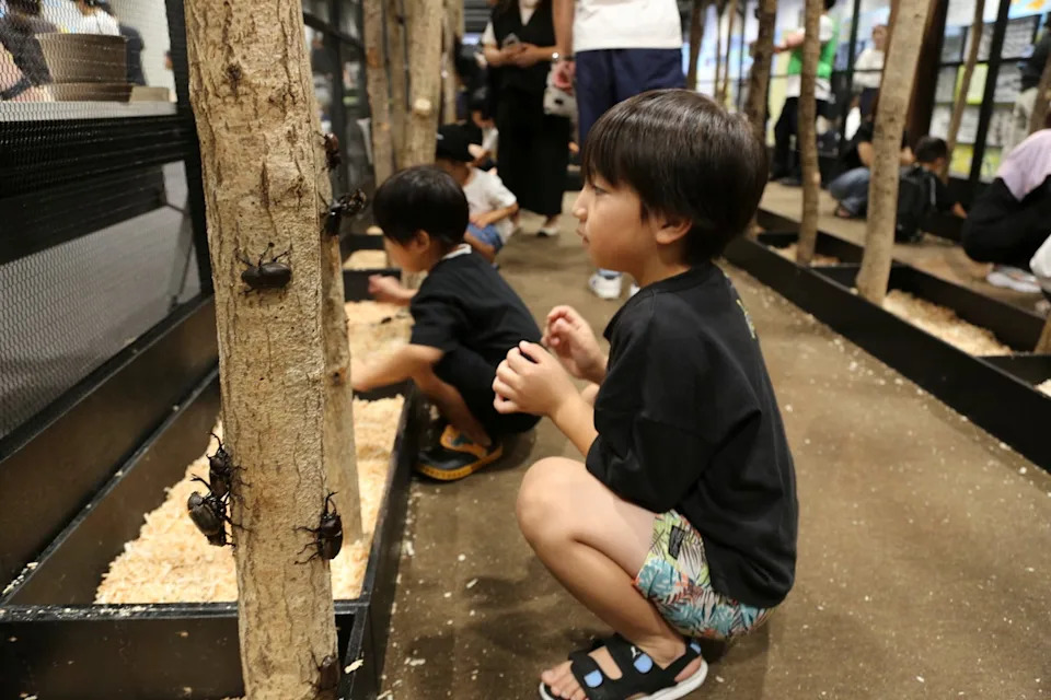 File. Marriage rate of young couples has decreased sharply in Japan, and as a result, the birth rate has also fallen (AP)