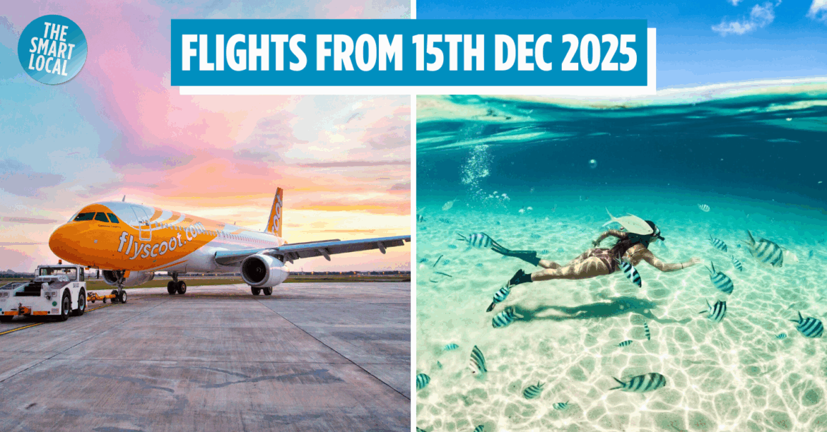 Scoot new flights cover image