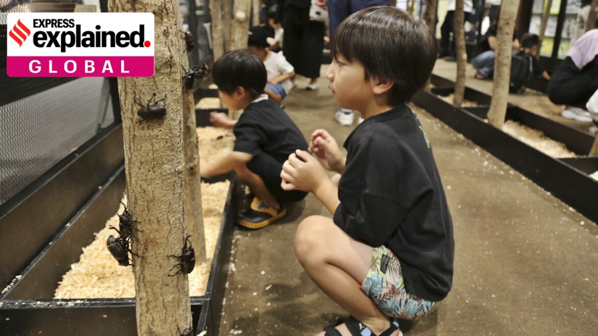 What’s driving Japan’s population fall, with record decline of 900,000 people in 2024 | Explained News Japan often makes headlines in this area because of its particularly low birth and fertility rates.