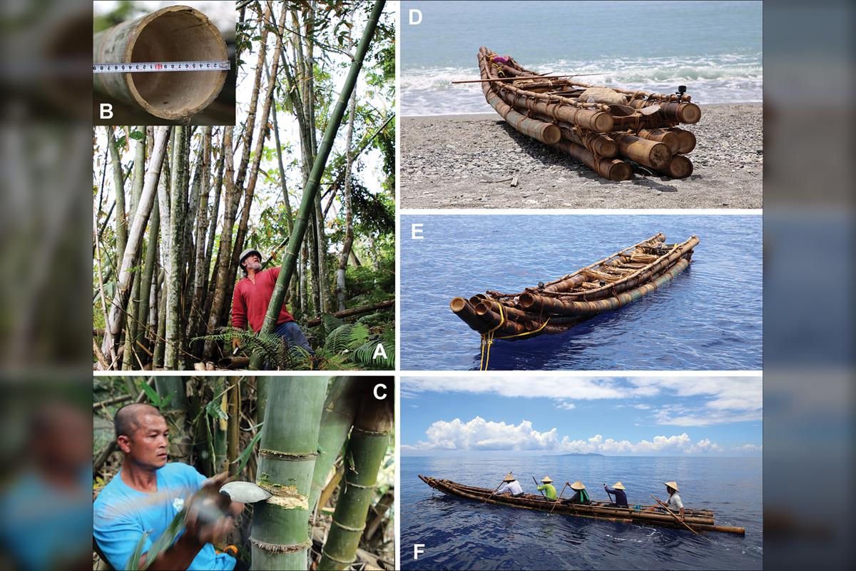 Composite picture with several images showing the creation and testing of the bamboo boats.
