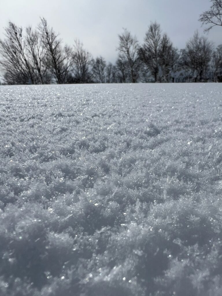The snow at Kiroro was wonderfully crystallised and ultra-light with low moisture content. Image: Robin Watts