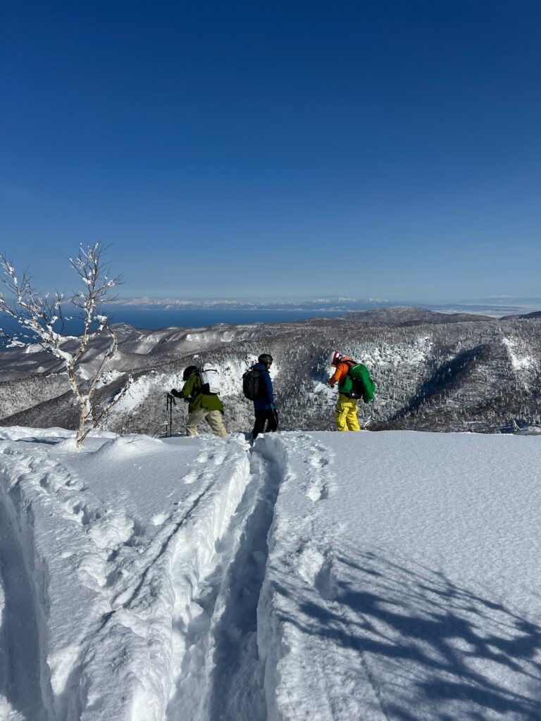 Ronan chose a spot with an open route down with large gaps between the trees. Image: Robin Watts
