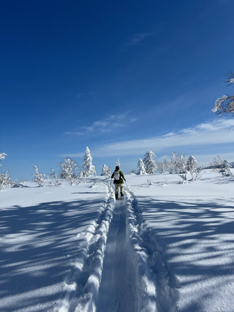 Trekking back to the resort. Image: Robin Watts
