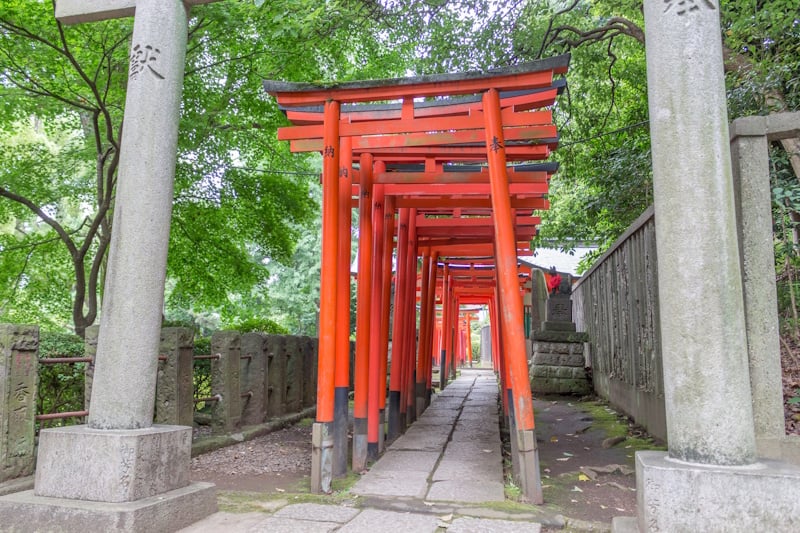 Nezu Shrine's torii gates