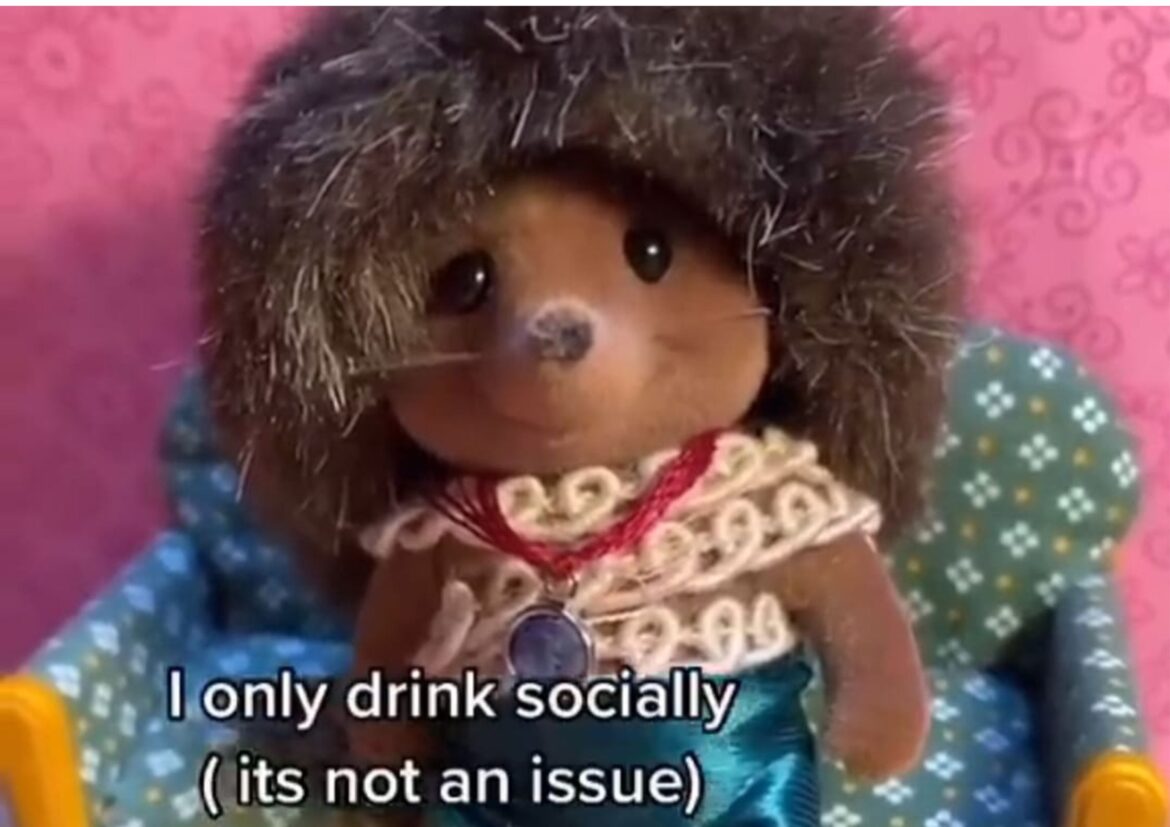 toyota world runners featured photo