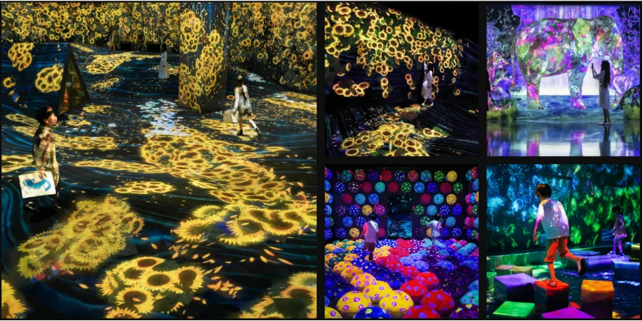 forest and floral movign art at teamLab Forest (Fukuoka, Kyushu)