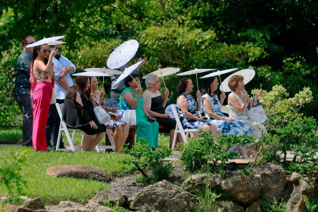 A wedding takes place at the Morikami Museum and Japanese...