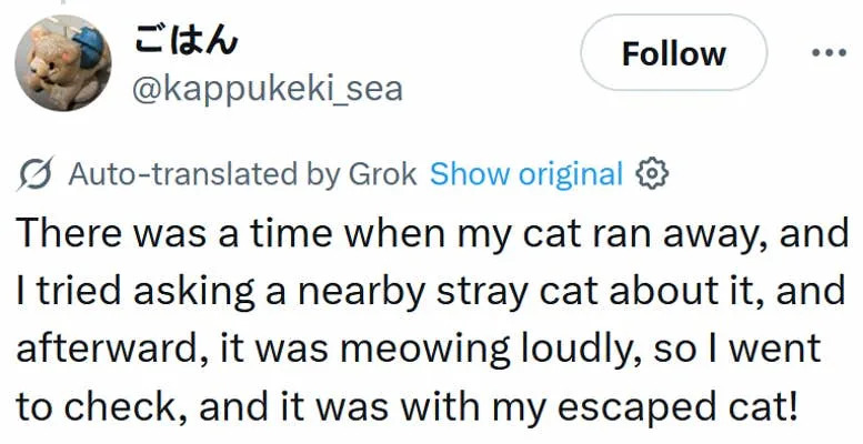 Tweet reading "There was a time when my cat ran away, and I tried asking a nearby stray cat about it, and afterward, it was meowing loudly, so I went to check, and it was with my escaped cat!"