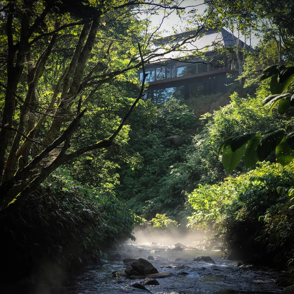 11 IMG 7649 Edit 2 1