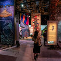 12 Pavilions at EXPO 2025 Osaka Highlight Immersive Spatial Experiences - Image 2 of 32