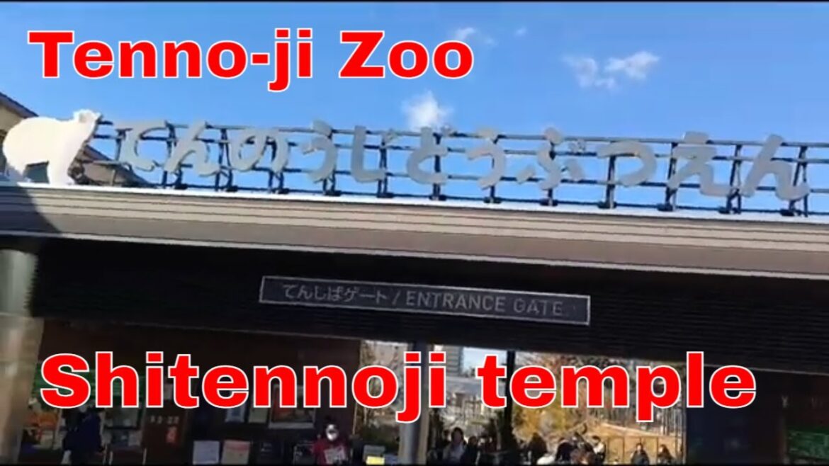 Osaka Day 2 Vlog π―π΅ | Buffet Breakfast, Shitenno-ji Temple, Tennoji Zoo & Keitakuen Park πΈ Osaka Day 2 Vlog π―π΅ | Buffet Breakfast, Shitenno-ji Temple, Tennoji Zoo & Keitakuen Park πΈ