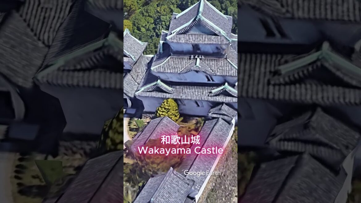 Wakayama Castle.#和歌山城 #japantravel #shorts