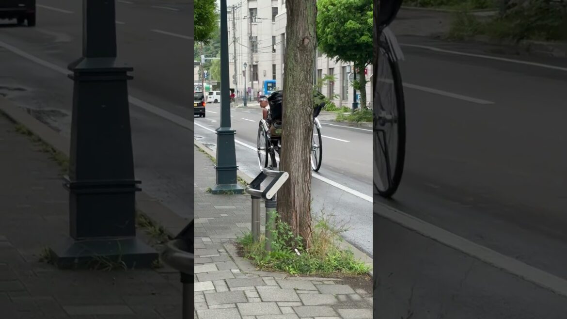 【小樽観光のコツ】人力車で有名観光地を巡る2025年8月30日