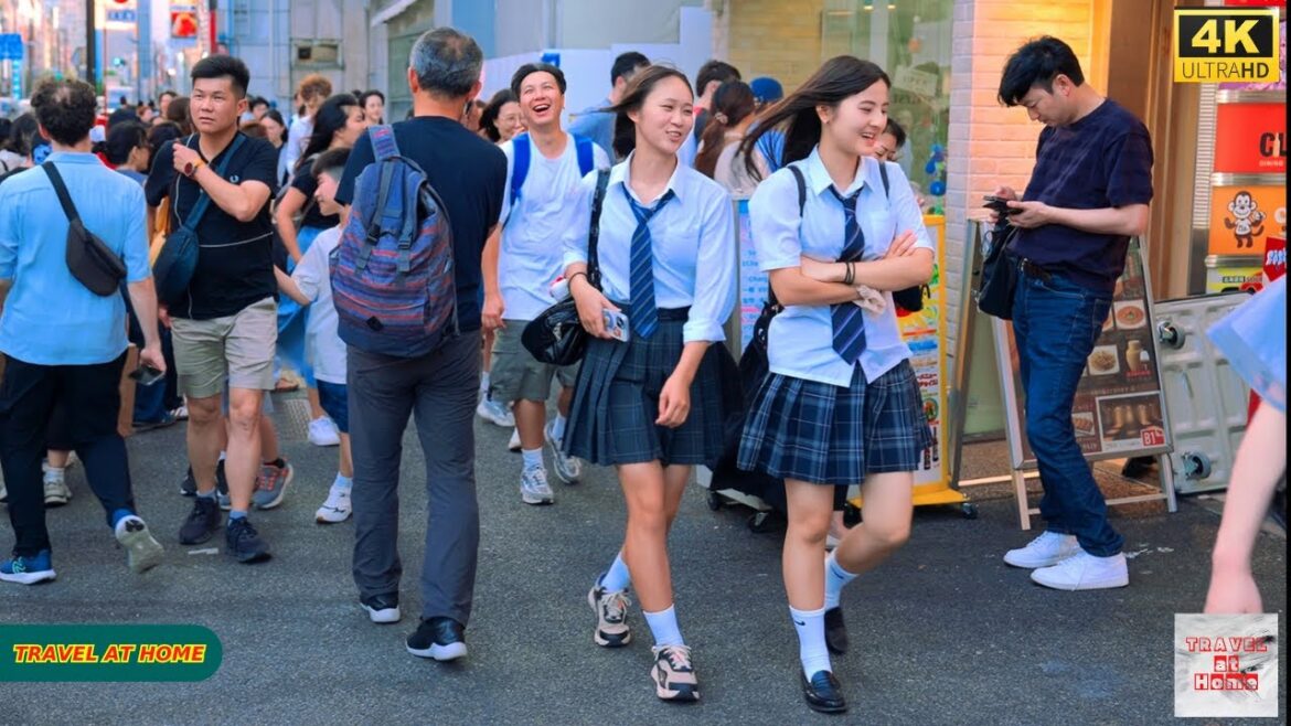 4K HDR Japan travel 2025 | Walk in Harajuku（原宿）Tokyo Japan |  Relaxing Natural City ambience