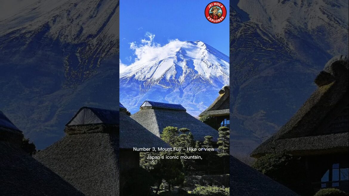 Best thing to do in Japan.#travel #japan #youtubeshorts #shorts Best thing to do in Japan.#travel #japan #youtubeshorts #shorts