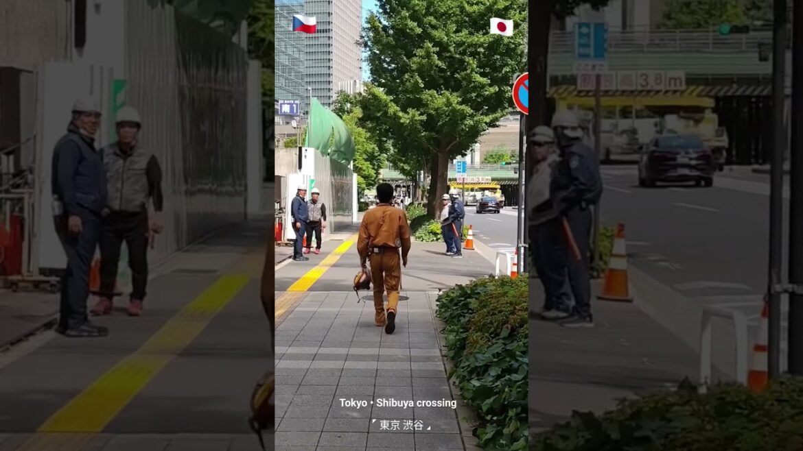 Asia • Japan • Tokyo | Shibuya crossing Asia • Japan • Tokyo | Shibuya crossing