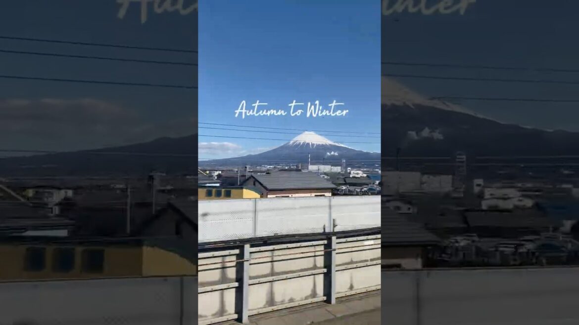 I Climbed Mount Fuji! #fuji #mountfuji #summit #sunrise #japan #travel #life #dream #blessed #富士山