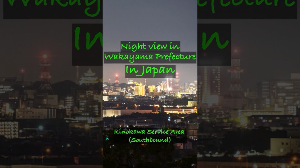(Wakayama Prefecture) Kinokawa Service Area (Southbound) #shorts #japan #trip #wakayama #nightview
