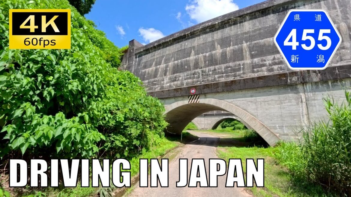 【Driving in Japan】Niigata Prefectural Route 455 etc. : Oguni - Kawaguchi [Insta 360 Ace Pro 2 4K60P]