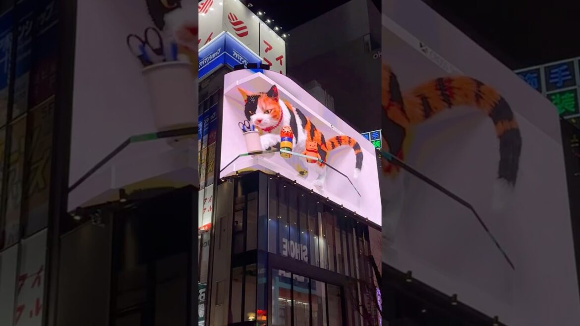 ❤️ Japan – Let’s Go!! Want to travel to these places? Just a few of my favorites. #japan ❤️ Japan - Let’s Go!! Want to travel to these places? Just a few of my favorites. #japan